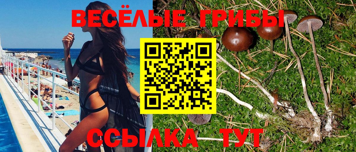 Карачаевск  Галлюциногенные грибы MAGIC MUSHROOMS  Вход с VPN 
