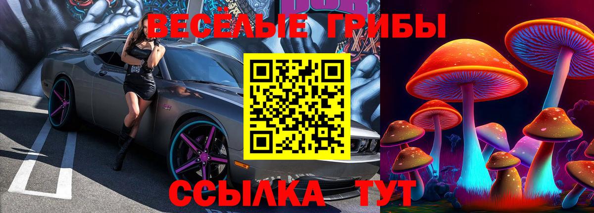 Галлюциногенные грибы Psilocybine cubensis Карачаевск