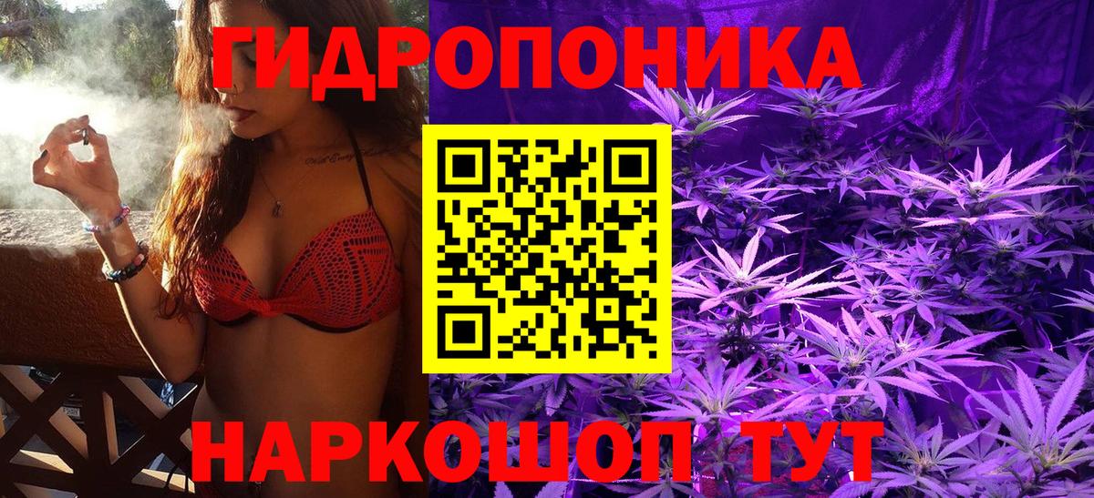 Шишки марихуана индика Карачаевск